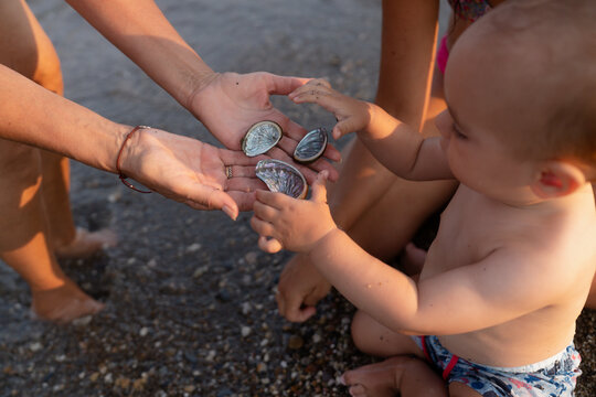 Toddler discovering seashells on beach with family