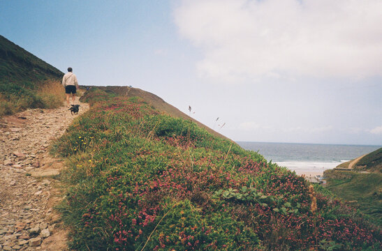 Walking a Dog Along a Coastal Path by the Sea in Summer