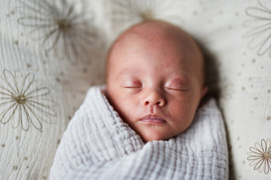 Newborn Baby Girl Sleeps While Wrapped In A Swaddle Blanket