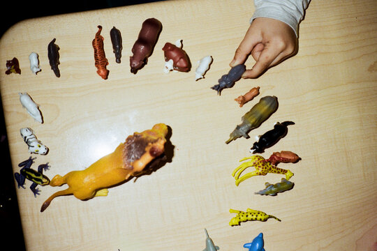 Child's Hand Playing with Animals