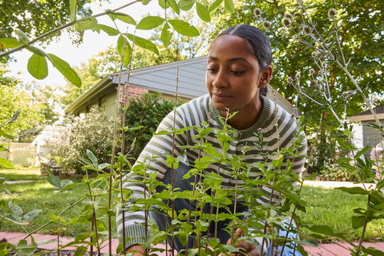 Woman gardening in the backyard