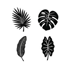 Tropical leaf icon set, botanical nature design concept, minimal silhouette style