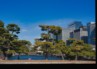 皇居前広場から見た高層ビル群