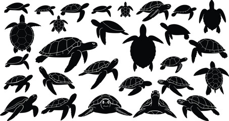 Obraz premium Collection of sea turtle silhouettes in swimming poses, detailed marine wildlife vector illustration for ocean, nature, education, design content