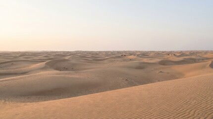 Vast Desert Landscape with Rolling Sand Dunes at Sunset