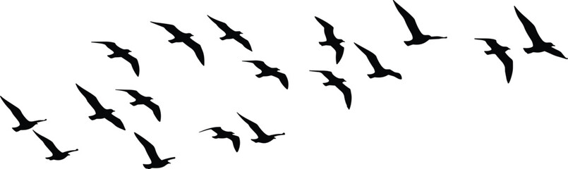 Black silhouettes of flock of birds flying in V-formation, migratory wildlife group flight concept illustration design