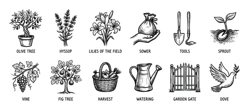 Set of hand-drawn biblical icons featuring an olive tree, dove, vine, and gardening tools in a black ink sketch style, isolated on a white background for religious or agricultural concepts