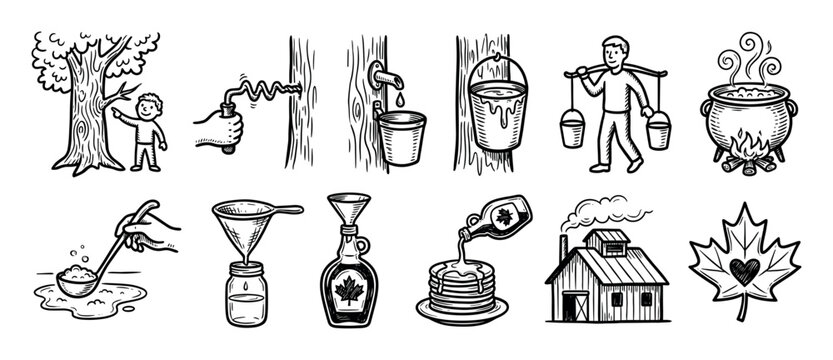 Hand drawn maple syrup production process icons showing tree tapping, sap collection, boiling, and bottling in a black and white sketch style, isolated on a white background