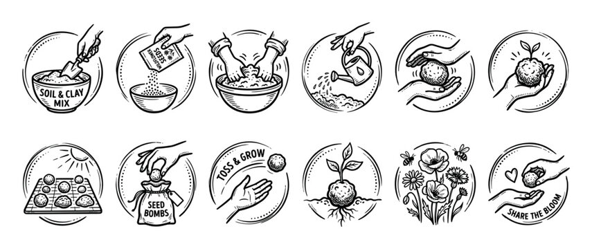 Set of hand-drawn seed bomb icons showing step-by-step instructions for making and planting wildflower seed balls, in a vintage black and white sketch style isolated on white