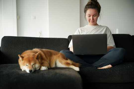 Home office work in laptop