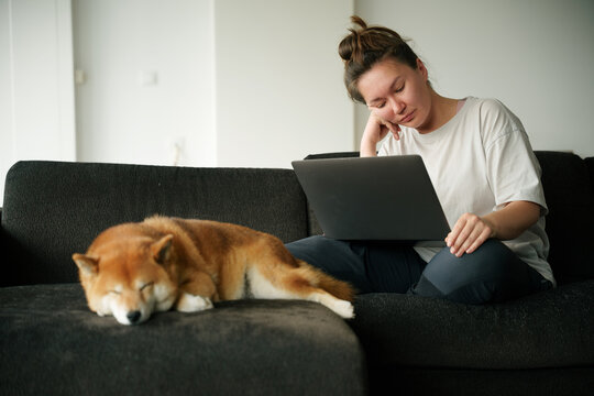 Working on Laptop With Dog