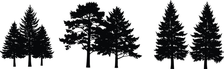 Black and white silhouette illustration of coniferous and broadleaf trees, detailed forest vector artwork for design, education, and botanical study reference © MSTIRIN