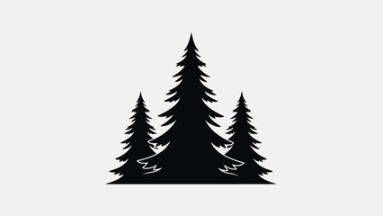 Obraz premium Silhouette of three evergreen pine trees standing tall in a forest.