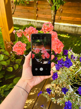 woman taking pictures of flowers on her phone