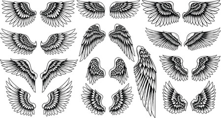 Intricate wing vector illustrations, detailed feather motifs, symmetrical and single wing designs, artistic black and white decorative elements © MstAlea