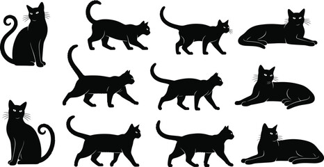 Ten black cat silhouettes in various poses, sitting, walking, lying down, feline behavior illustration for design decoration and anatomy study © Mozibur