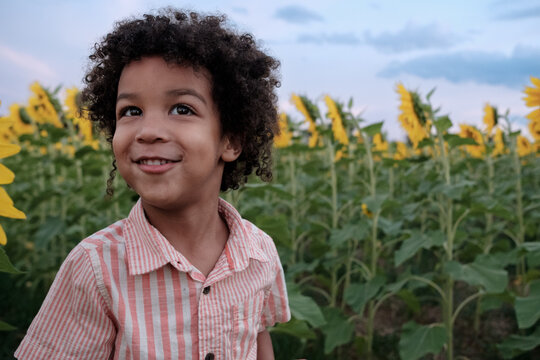 Child in a cast in Sunflower fields