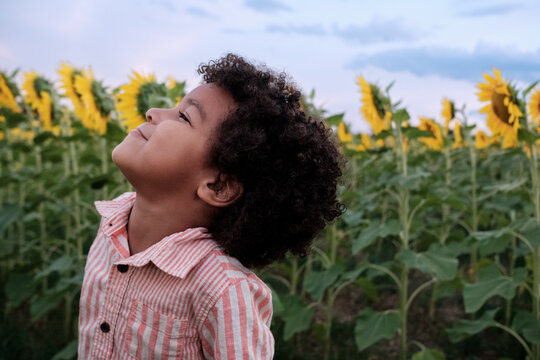 Child in a cast in Sunflower fields