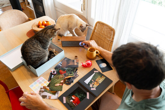 Cat and Man Crafting