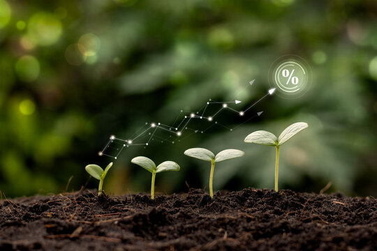 Conceptual image of business growth and sustainable investment. Glowing financial graph with an upward trend and a percentage symbol over green seedlings growing in soil, representing economic progres