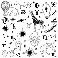 Naklejka premium Mystic Zodiac & Celestial Vector Bundle: Astrology Signs, Constellations, and Palmistry Hand Icons 
