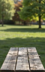 Fototapeta premium Wooden picnic table in sunny park, green grass and trees softly blurred behind.