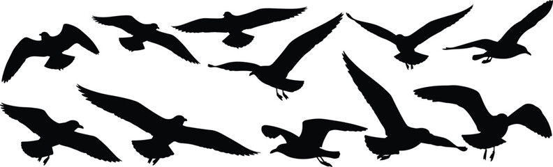 Twelve bird silhouettes in flight, arranged in rows, varied wing positions and postures, dynamic wildlife illustration for design and decoration