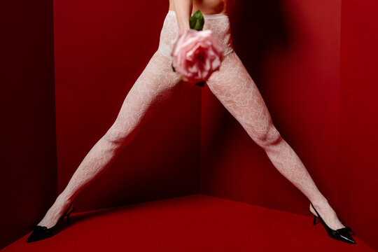 Lace Stockings, Rose Pose in Red Studio