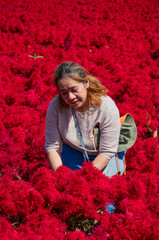 Woman Posing in a Field of Flowers