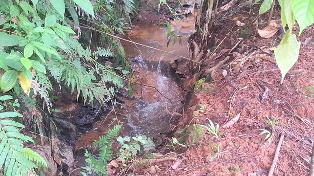 Flowing water in a small man-made drainage ditch or trench within a lush tropical garden. This irrigation system is essential for maintaining soil moisture and preventing erosion in the garden
