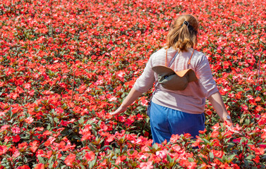 Woman Posing in a Field of Flowers
