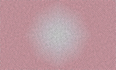 Obraz premium cell-like pattern with Sweet Pink mosaic background 