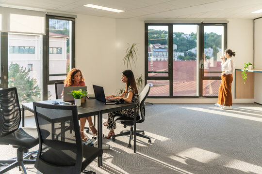 Women Collaborating in a Modern Office Space During Daylight Hours