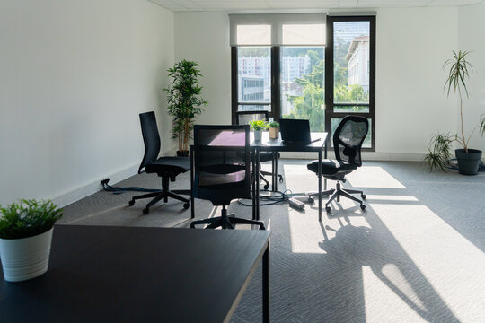 Modern Office Space With Natural Light and Minimal Furniture