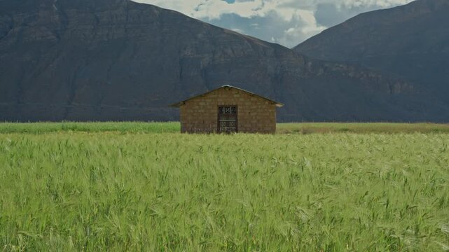 mountain hut in spiti valley, surrounded by rugged himalayan peaks and endless blue skies. built with traditional mud and stones.