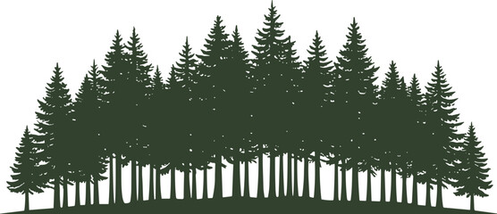 Dense forest silhouette vector illustration, coniferous pine fir trees design, dark green nature graphic, woodland ecosystem, environmental art © Hafeza
