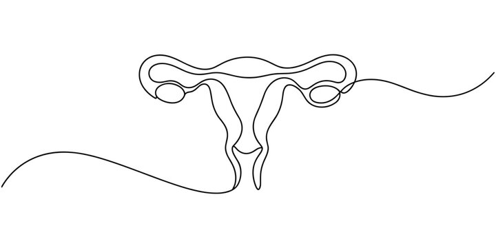 Continuous one line drawing of women's Uterus and Ovary. Single line art Female reproductive system. Vector illustration, One continuous line drawing on white isolated background.