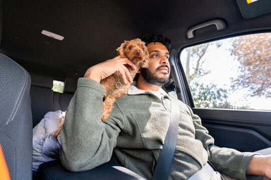 car driving petting dog