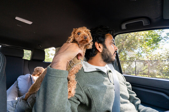 dog owner driving car 