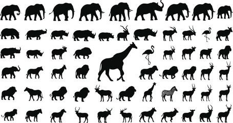 Vector illustration of African wildlife silhouettes collection, black animal artwork featuring giraffe, elephant, lion, zebra, and diverse species © Mozibur