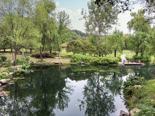 Tranquil Reflections: A Scenic View of Nature in a Peaceful Park