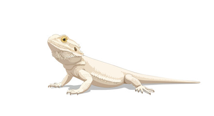 Obraz premium Exotic pale bearded dragon illustration on a crisp white background showing intricate scales