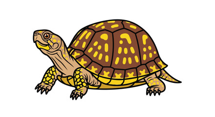 Obraz premium Detailed digital art of a vibrant terrestrial turtle showcasing intricate shell design