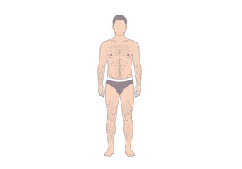 Full Body Human Male Anatomy Outline With Underwear For Medical And Health Education Presentations