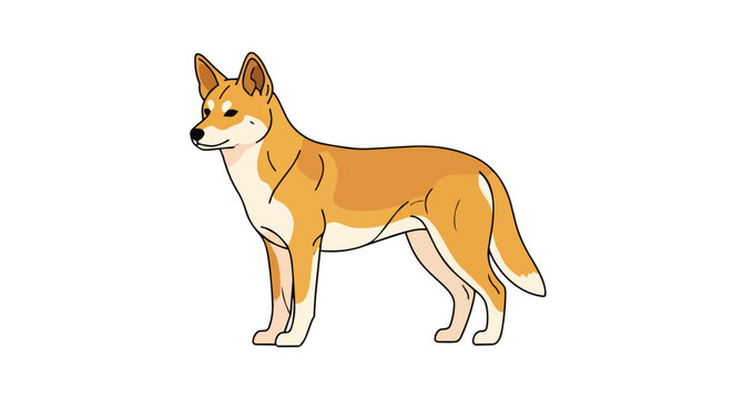An engaging vector illustration of an alert tawny canine with striking features against a stark white backdrop.