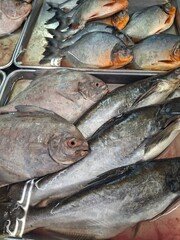 fresh fish, including pomfret and other river fish, laid out on silver metal trays at a wet market.