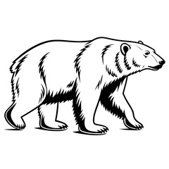Fototapeta premium polar bear vector illustration
