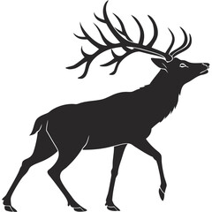 deer silhouette vector © MORSHEDUL 