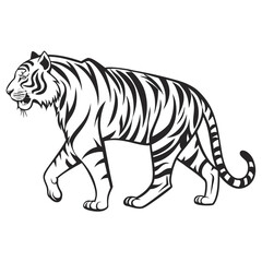 Obraz premium vector illustration of a tiger