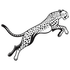 Fototapeta premium leopard on a white background
